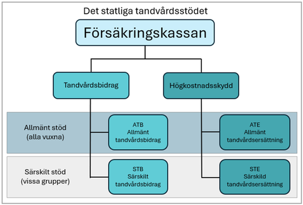 Det statliga tandvårdsstödet